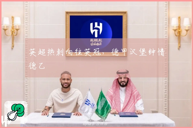 英超热刺向往英冠，德甲汉堡钟情德乙